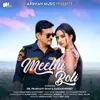 About Meethi Boli Song